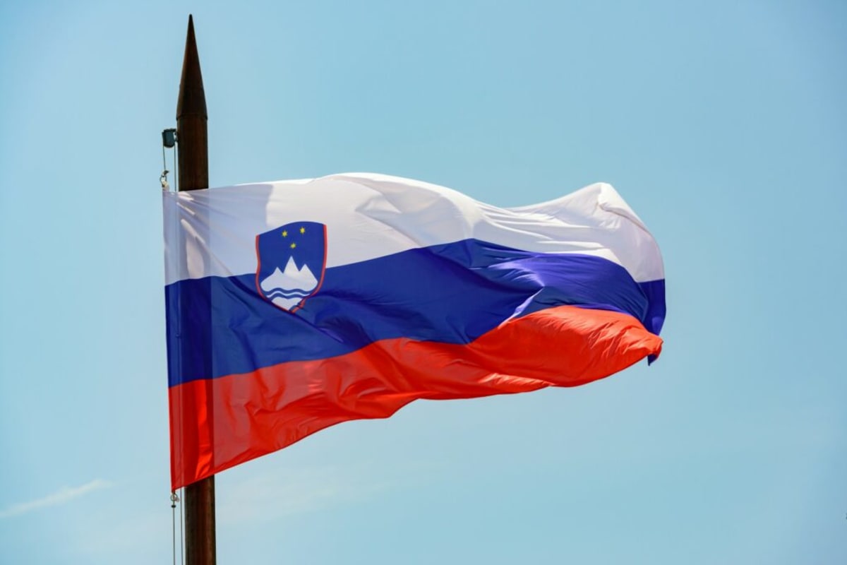 Slovenia Lets Solar Owners Share Power With Anyone - Image 3