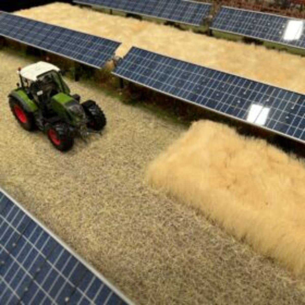 Colorado Finds Way to Farm and Generate Solar Power Together - Image 2