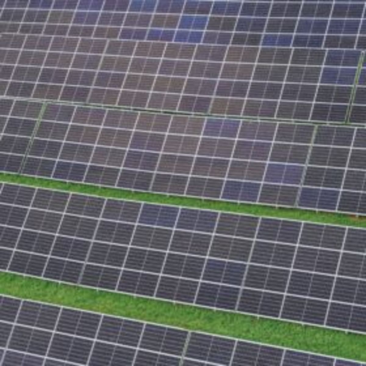 Japan Funds 130 MW Solar Farm in Tunisia - Image 2