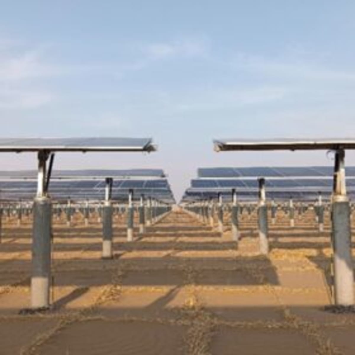 Solar Farms Cool Desert Temps by 3°C, Help Plants Grow - Image 2