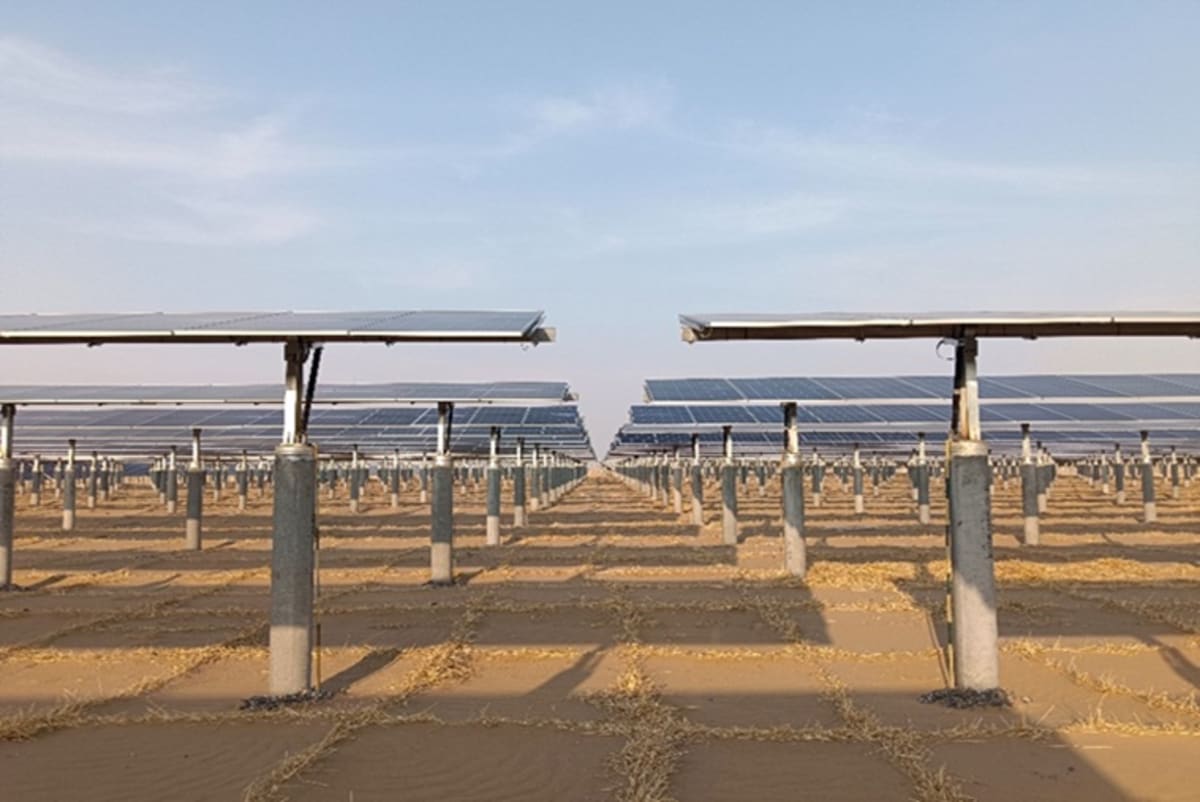 Solar Farms Cool Desert Temps by 3°C, Help Plants Grow