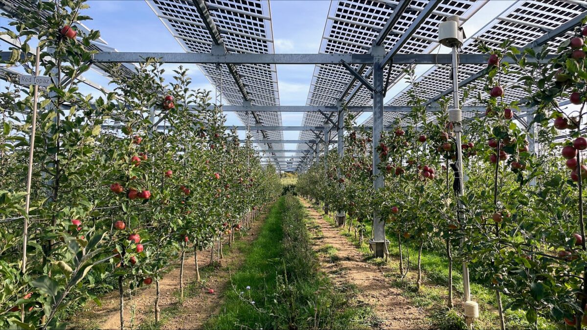 Austria Study: Solar Panels on Farms Could Power the Nation