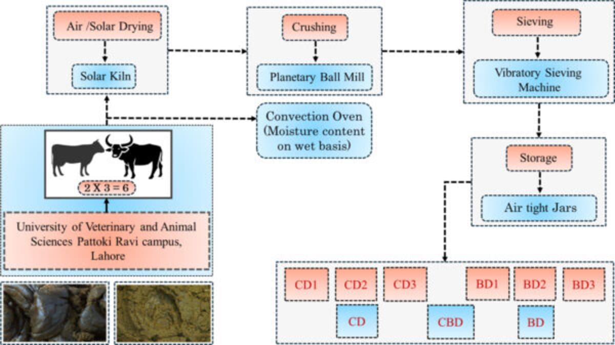 Solar-Powered System Turns Cow Dung Into Clean Energy - Image 3