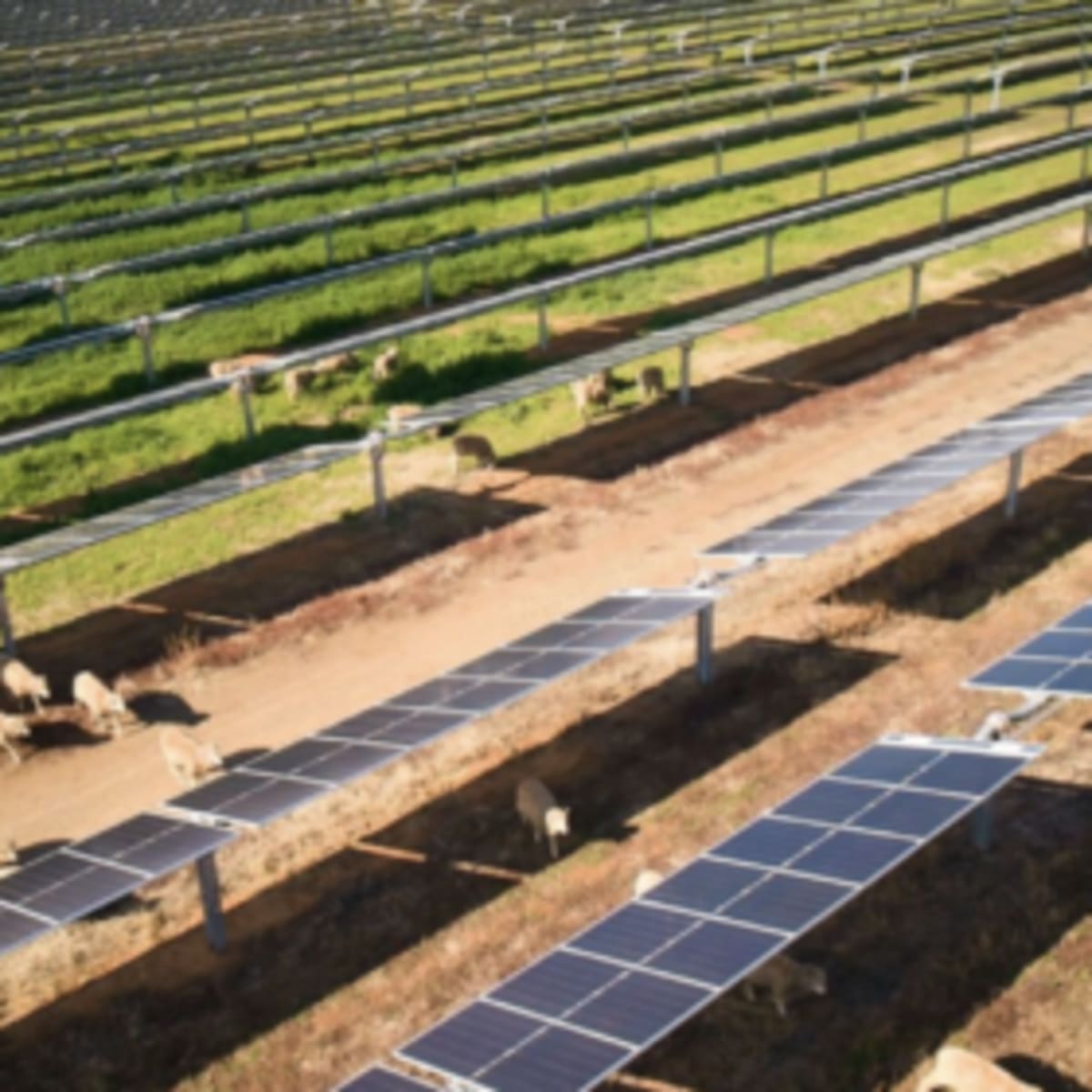 Australia Backs $34B Clean Energy Push With 14 Projects - Image 2