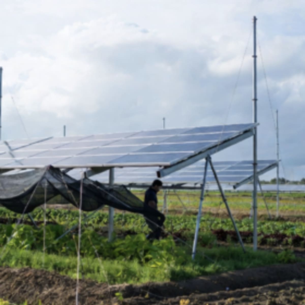 Japan Sets New Standards for 6,000+ Solar Farms - Image 2
