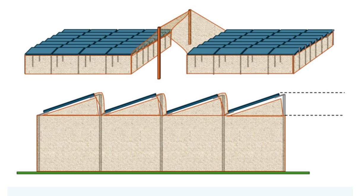 Low-mounted solar panels installed over farmland with chickens grazing safely underneath in dappled sunlight