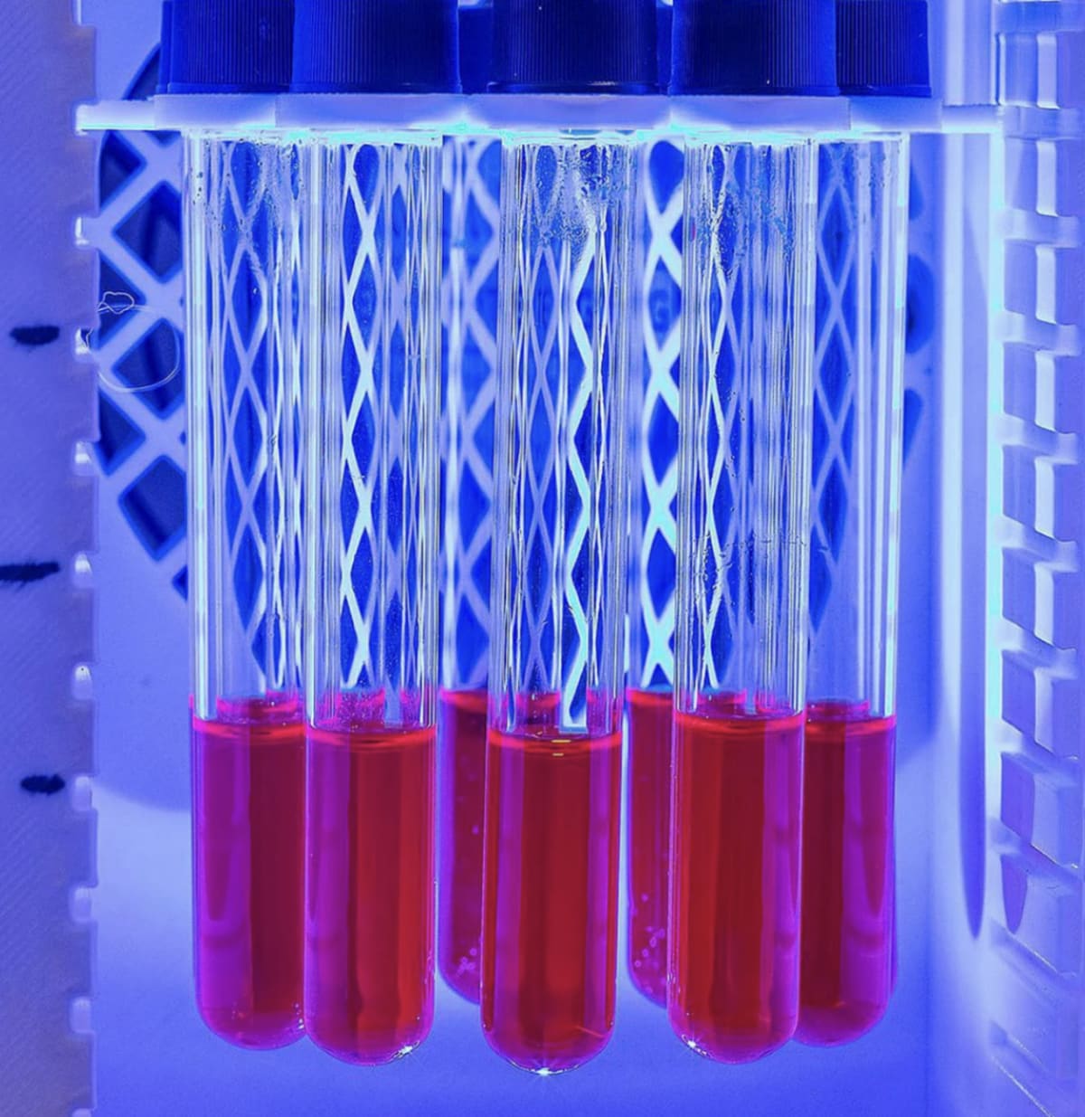 Solar Battery Stores Energy for Days, Makes Hydrogen in Dark