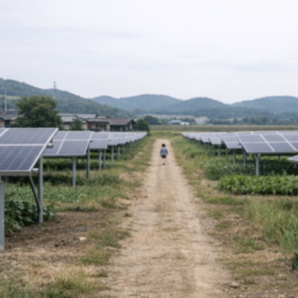 South Korea Targets 2,500 Solar Villages by 2030 - Image 2