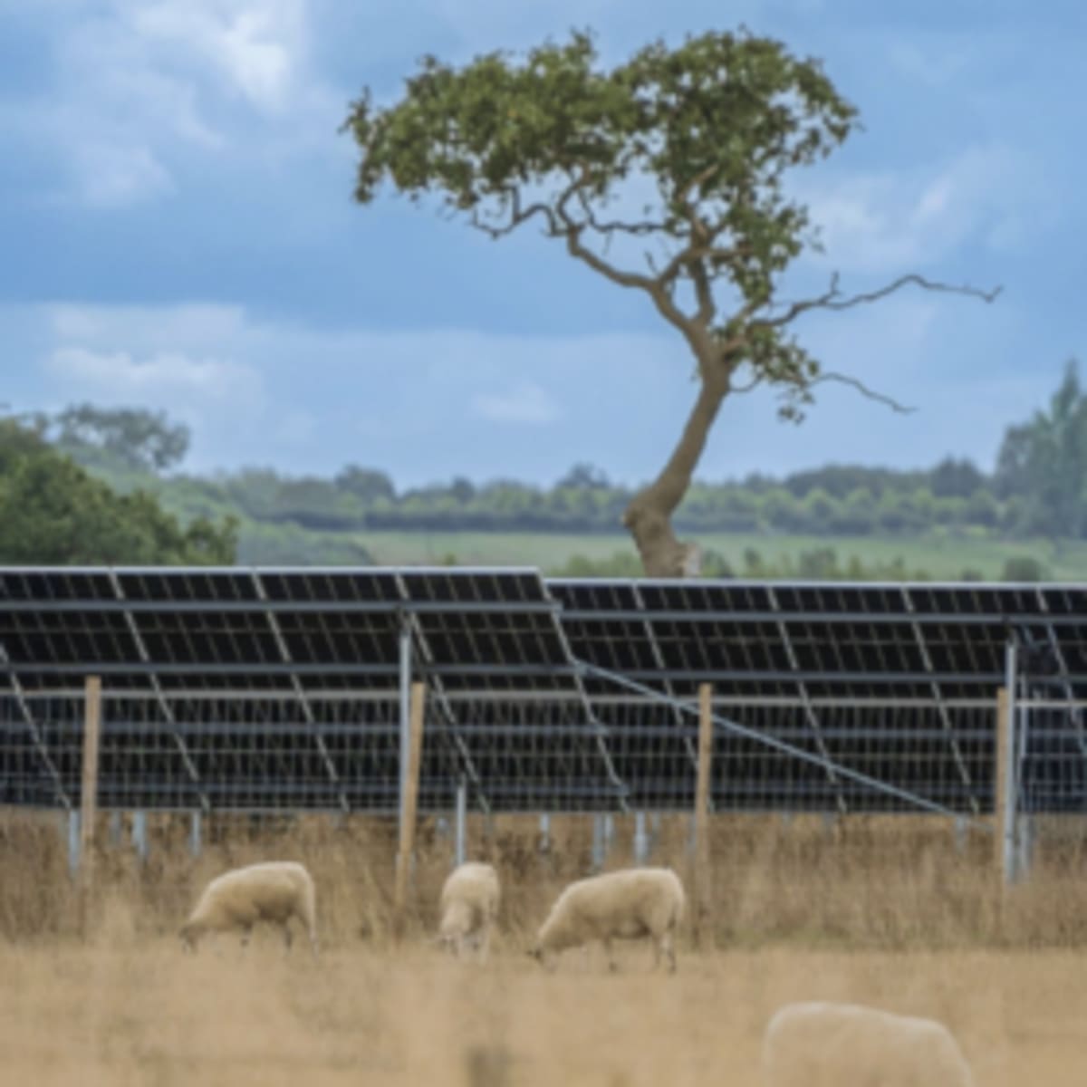 UK Solar Farm Seeks Investors for Community-Owned Battery - Image 2