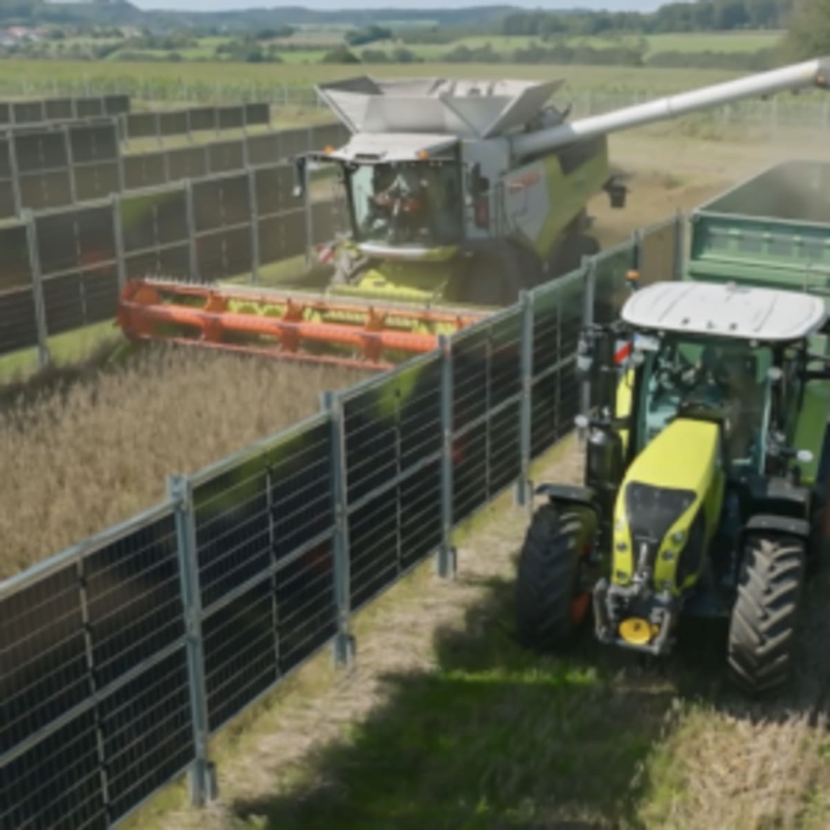 Solar Panels That Share Farmland Cut Costs by 80% - Image 2