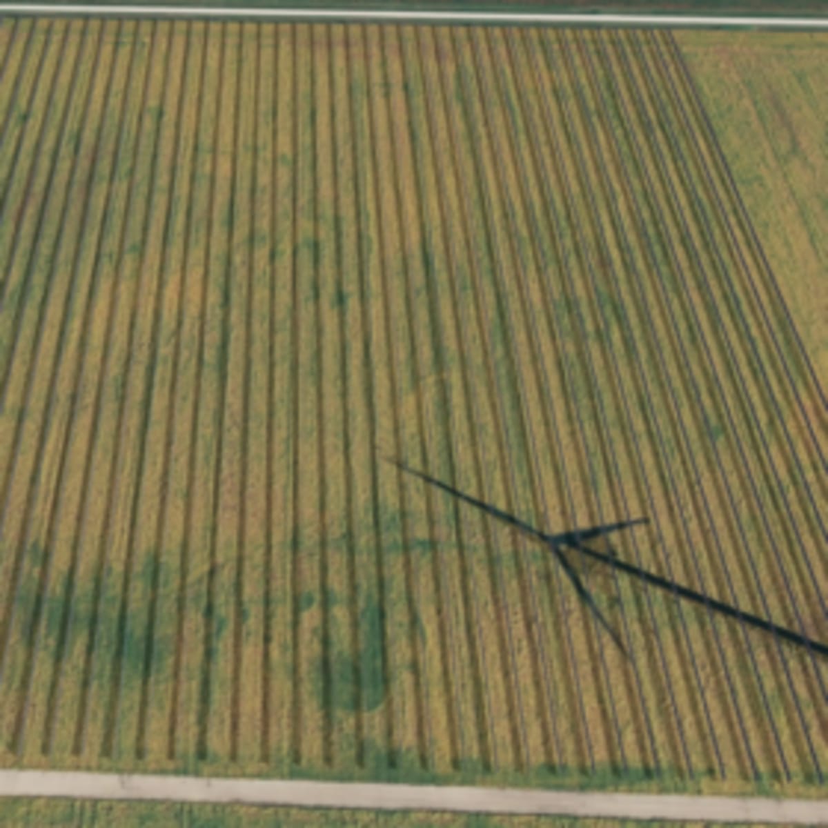 Ireland Breaks Ground on Solar-Powered Data Center Campus - Image 2