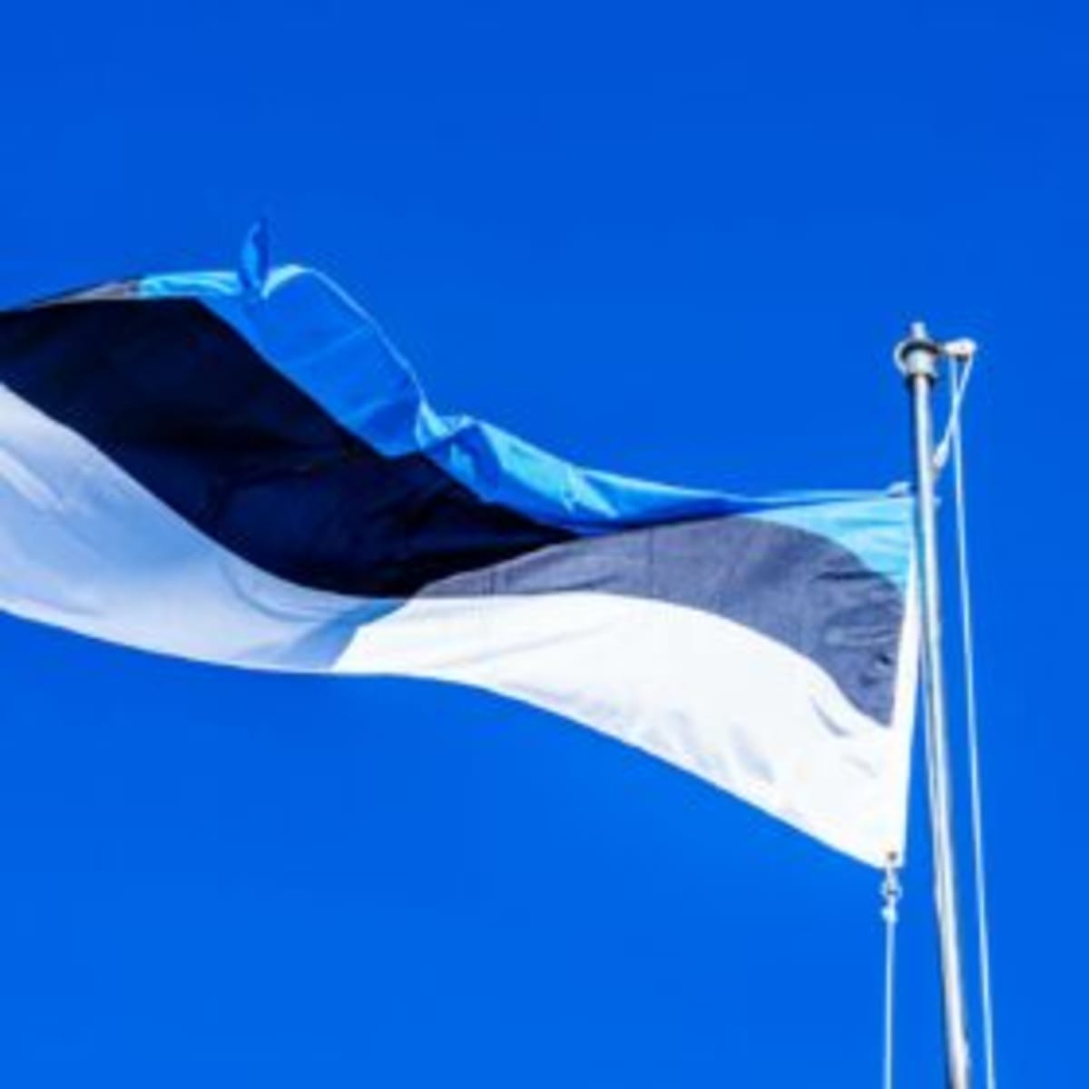 Estonia Powers Up with Solar Energy and Battery Storage - Image 2