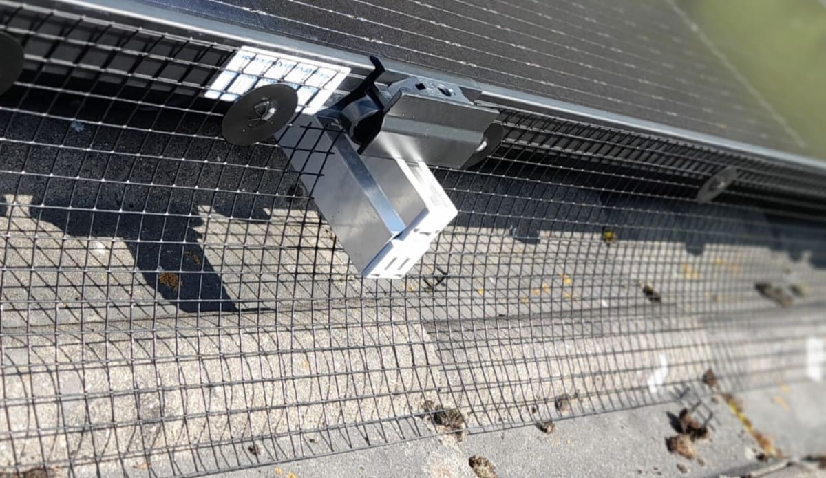 Black protective grid installed around edges of rooftop solar panels blocking pigeon access