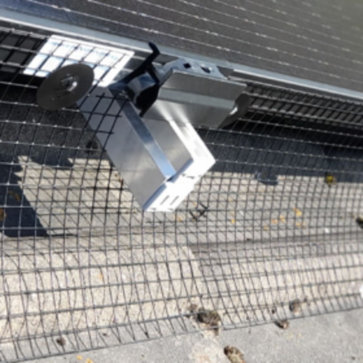 German Firm Protects Solar Panels From Pigeon Damage - Image 2