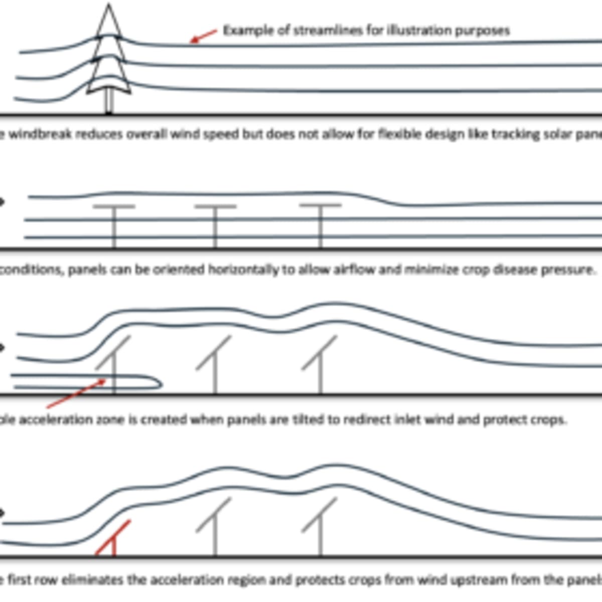 Solar Panels Cut Crop Wind Damage by 70%, Cornell Finds - Image 2
