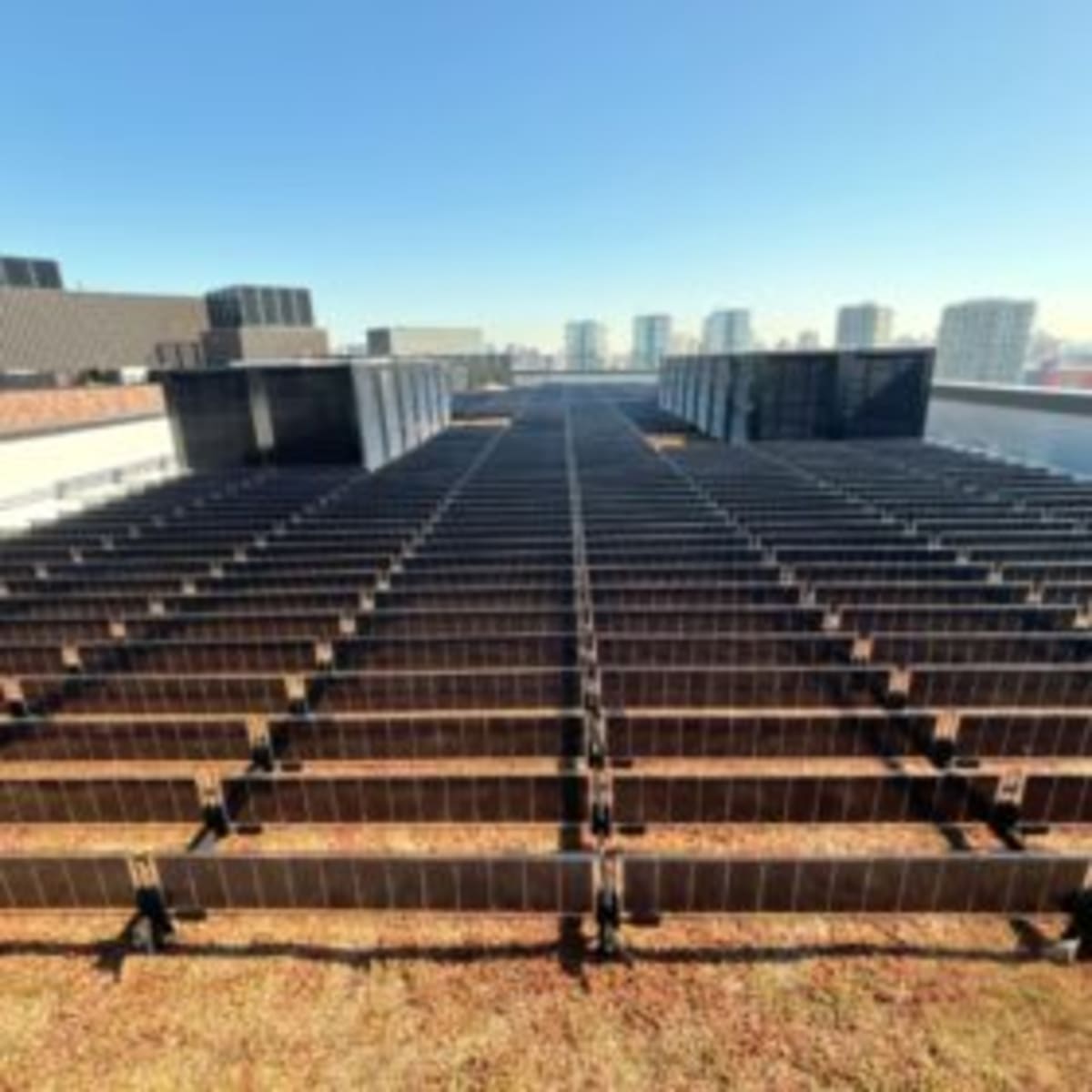 NYC Debuts Vertical Solar Panels That Share Roofs With Plants - Image 2