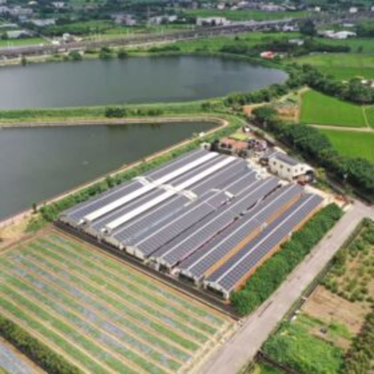 Taiwan City Writes the Playbook for Responsible Solar Power - Image 2