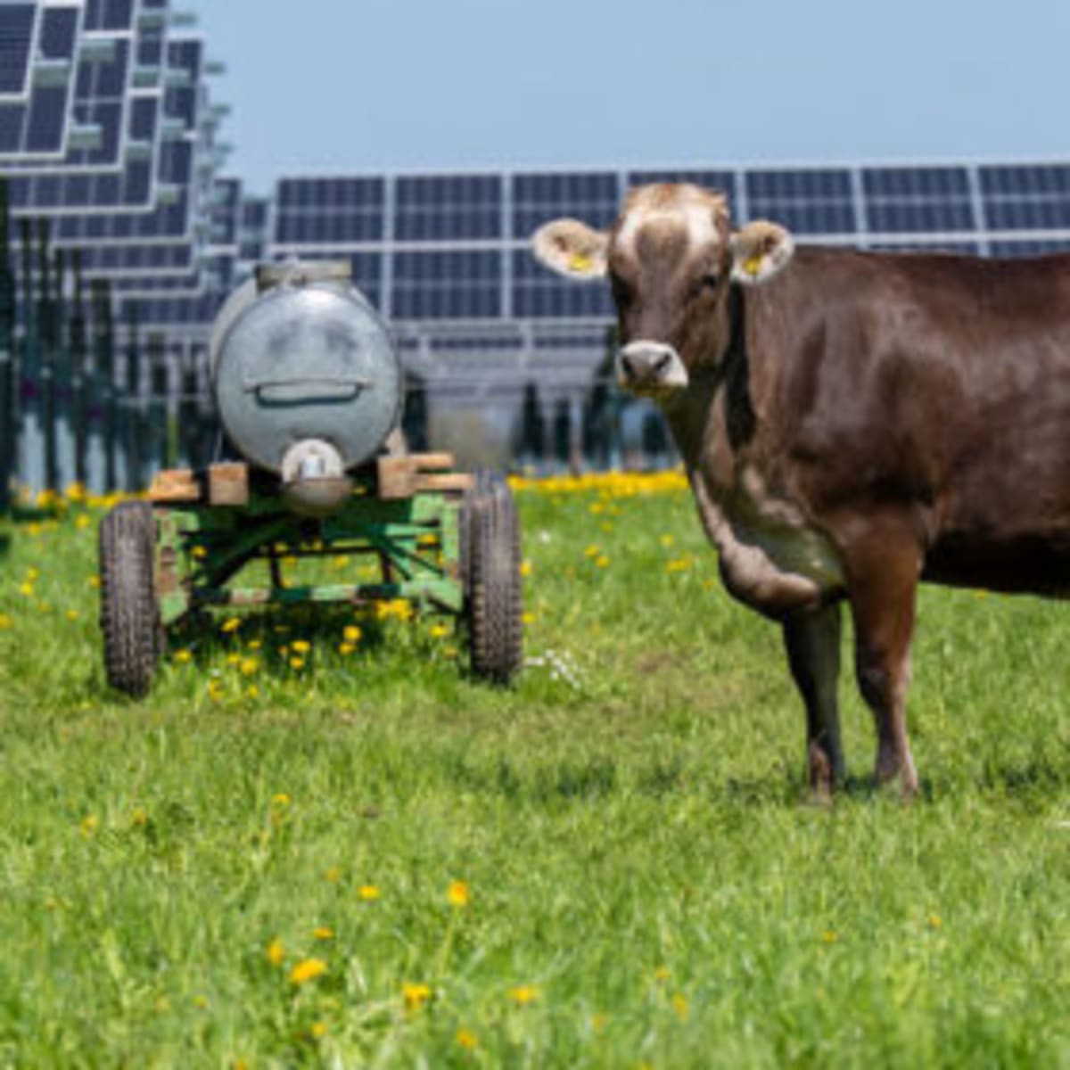 Germany Greenlights 2.3 GW Solar Farm Boom - Image 2