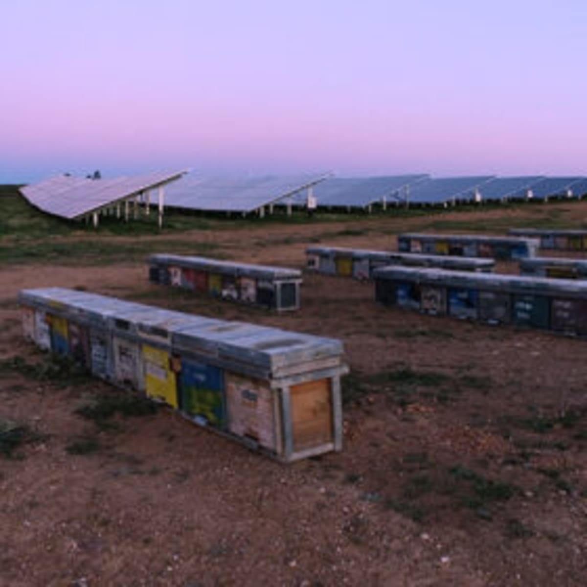 Spain and France Lead Green Energy Without Harming Nature - Image 2