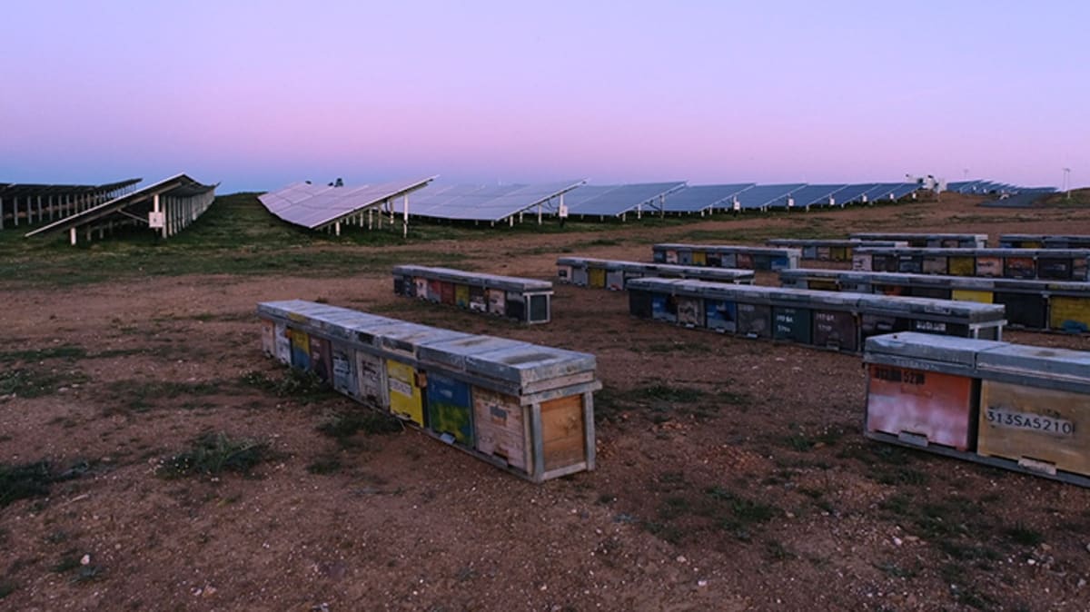 Spain and France Lead Green Energy Without Harming Nature
