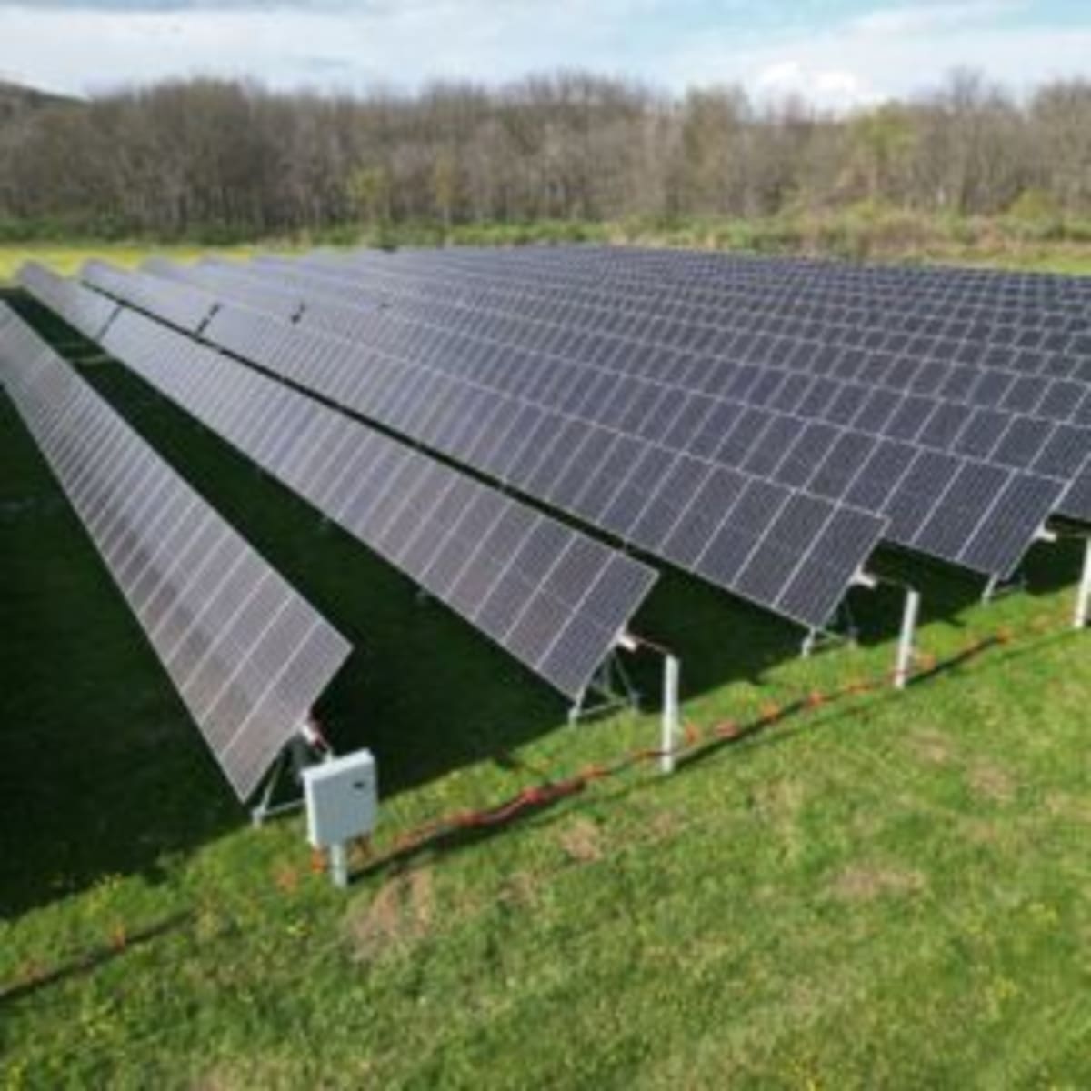 Solar Farms Can Protect Wildlife for Just 0.17% More Cost - Image 2