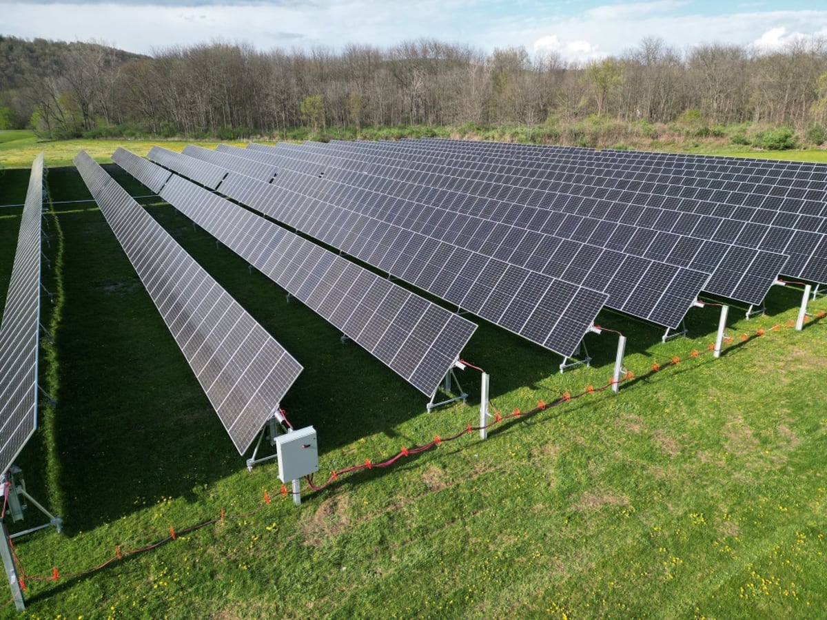 Aerial view of solar panel array installed near protected natural grassland habitat