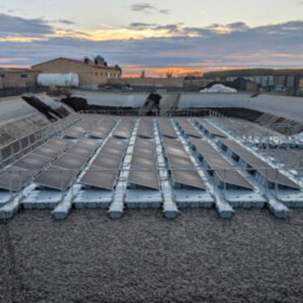 Solar Panels on Pig Farm Waste Cut Emissions and Power Costs - Image 2