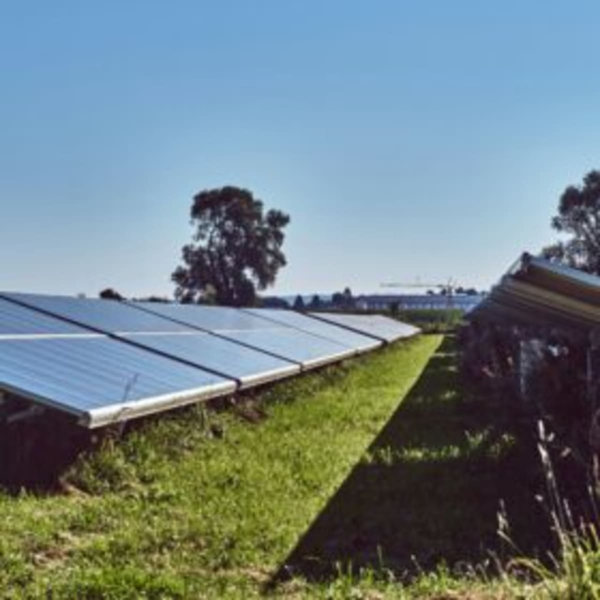 EU Solar Push Could Cut Power Costs Nearly in Half by 2030 - Image 2