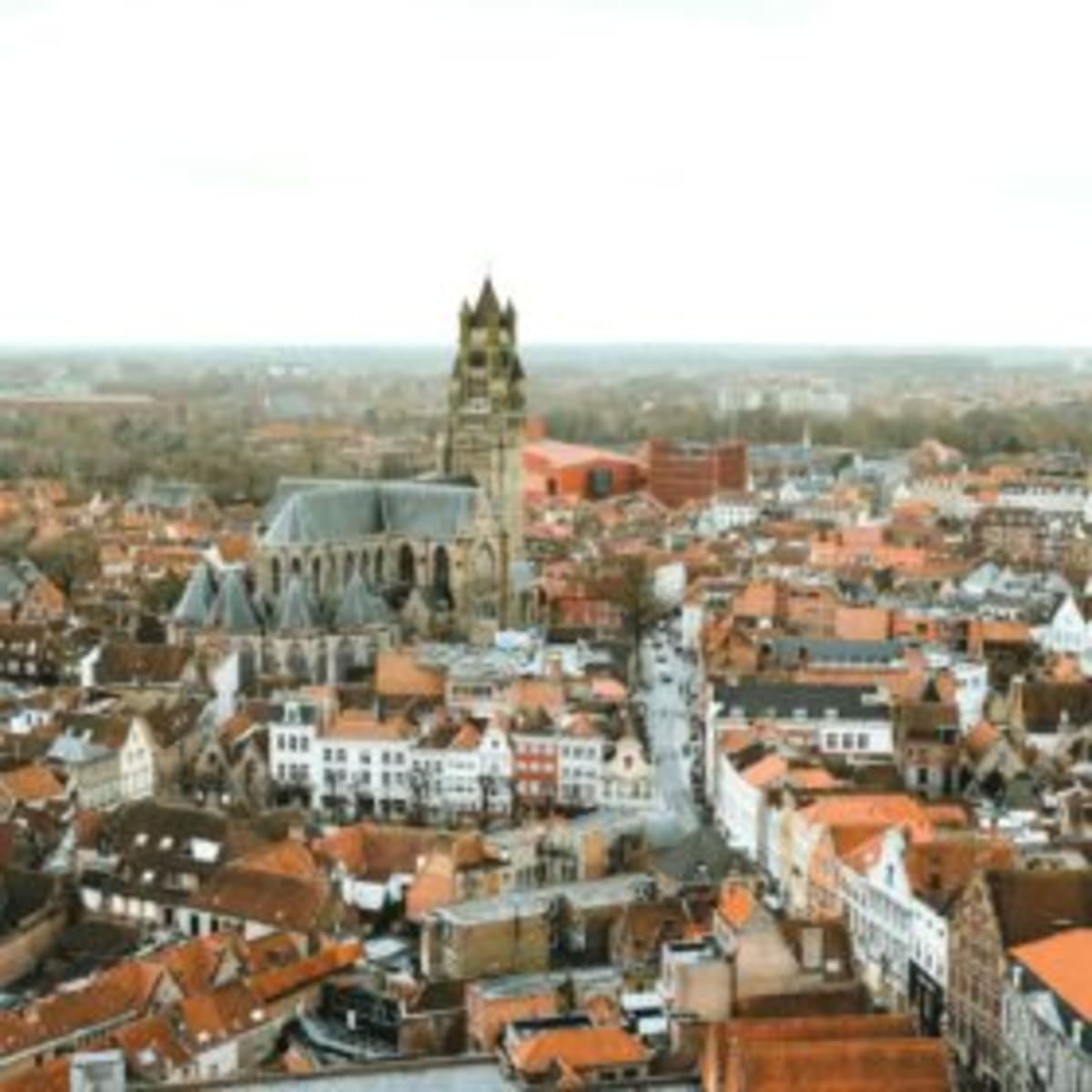 Belgium City Offers Free Solar Advice to Local Businesses - Image 2