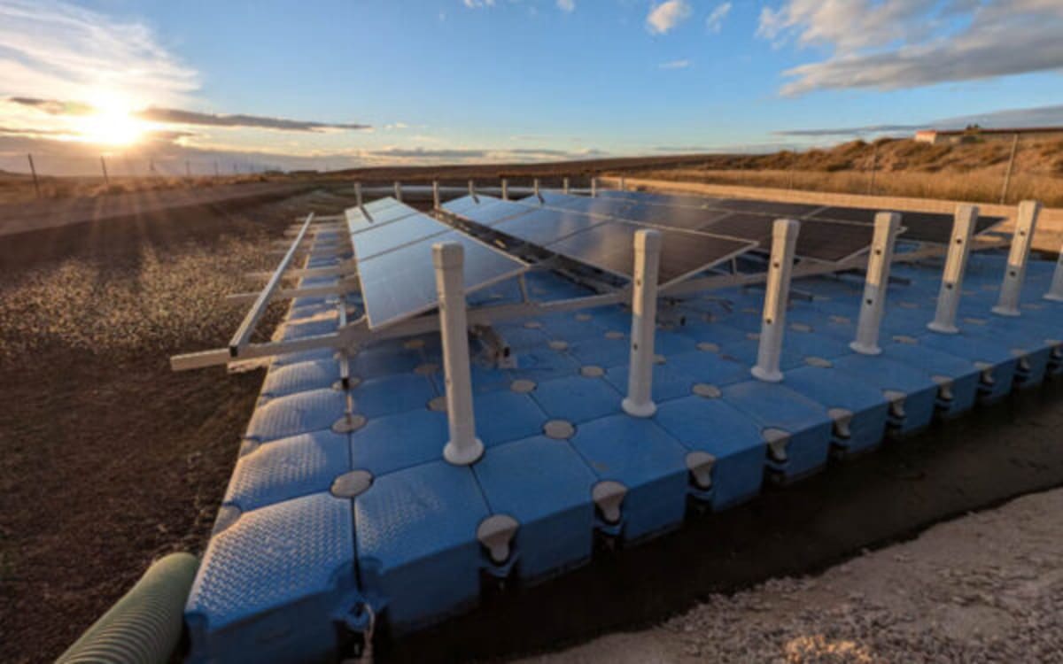 Solar Panels on Pig Farm Waste Cut Emissions and Power Costs - Image 3