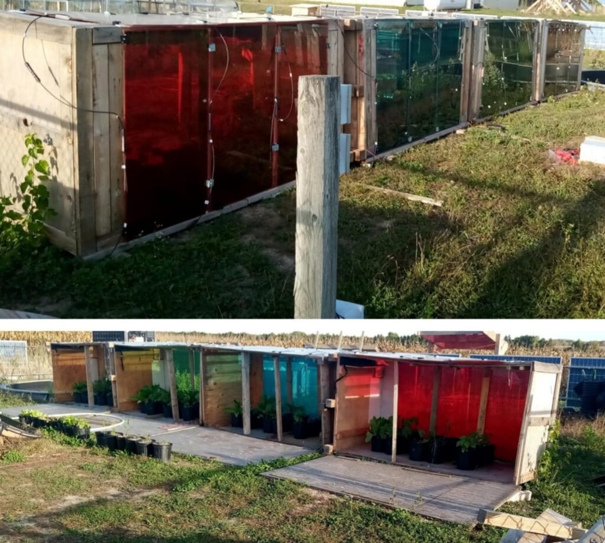 Solar Cold Frames Triple Lettuce Yields While Cutting Bills - Image 3