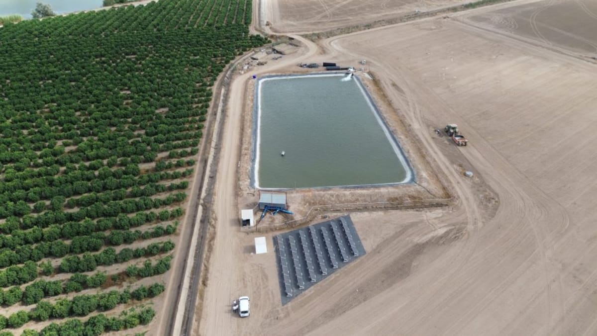 Spanish Vineyard Study: Water Tanks Beat Batteries for Solar