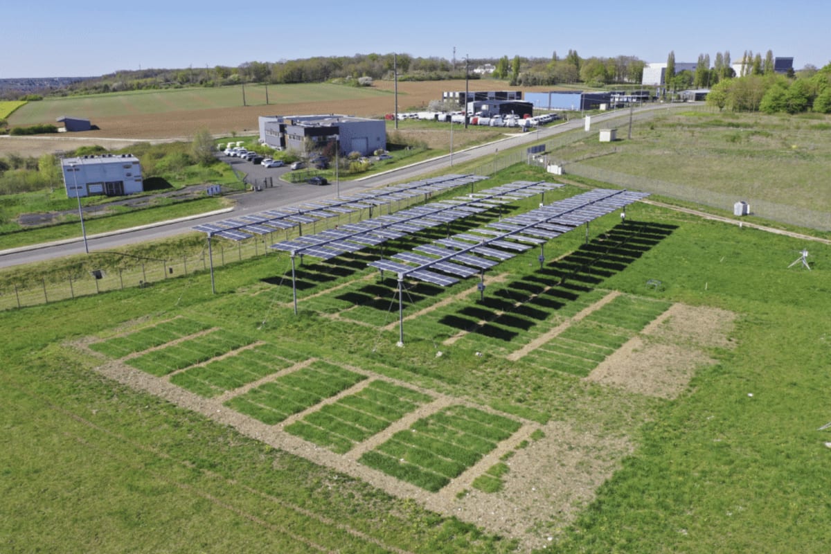 French Scientists Crack Code on Solar Panels That Shield Crops - Image 3