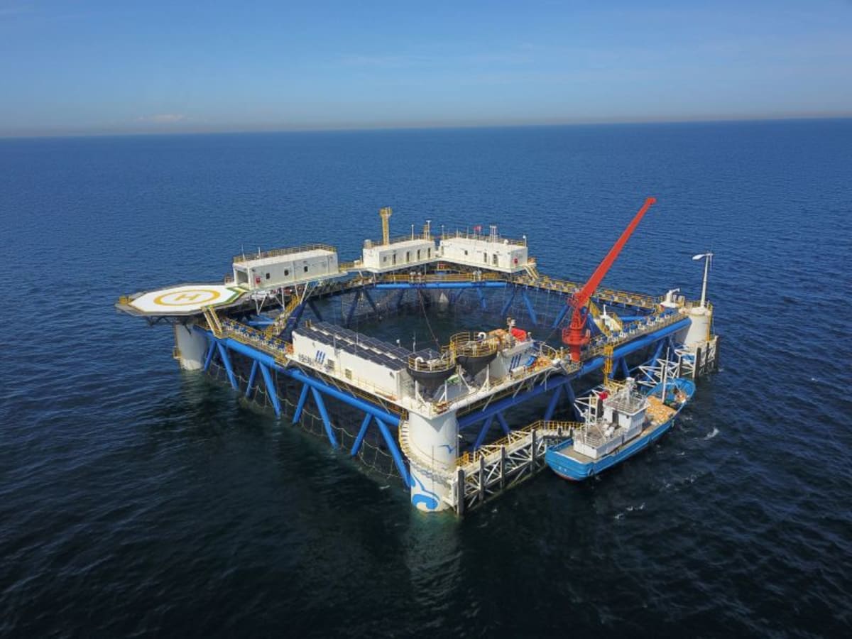 China Builds World's First Bamboo Solar Farm at Sea - Image 4