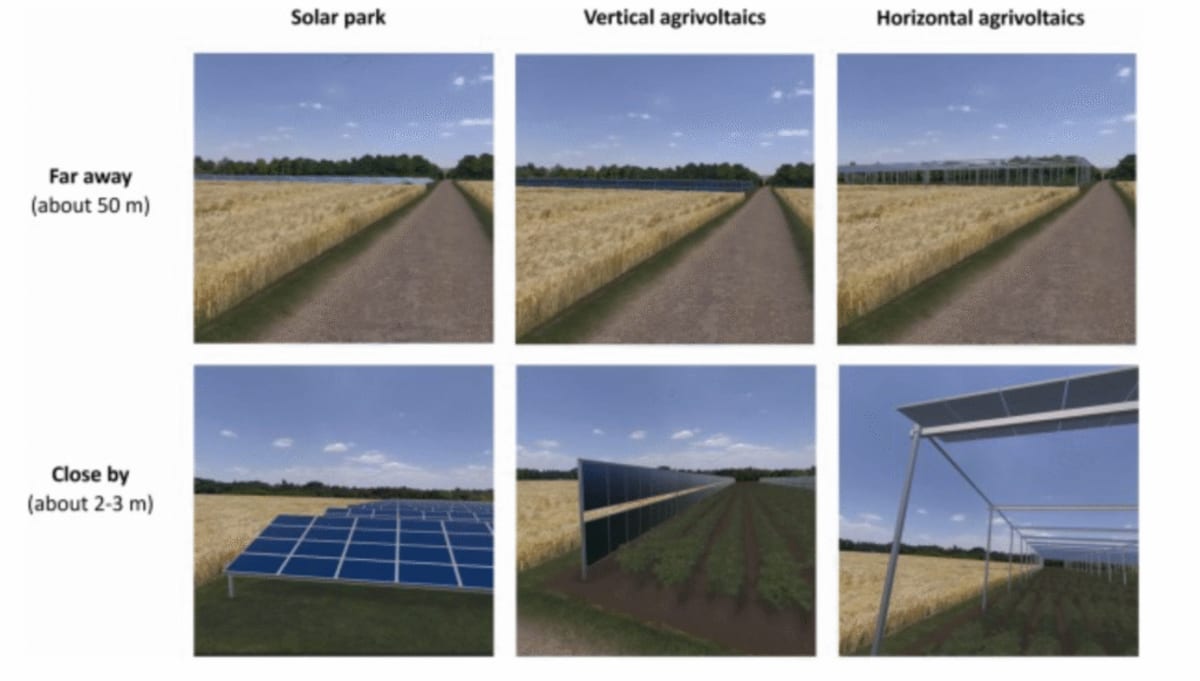 VR Helps People See Solar Farms Work With Agriculture - Image 4