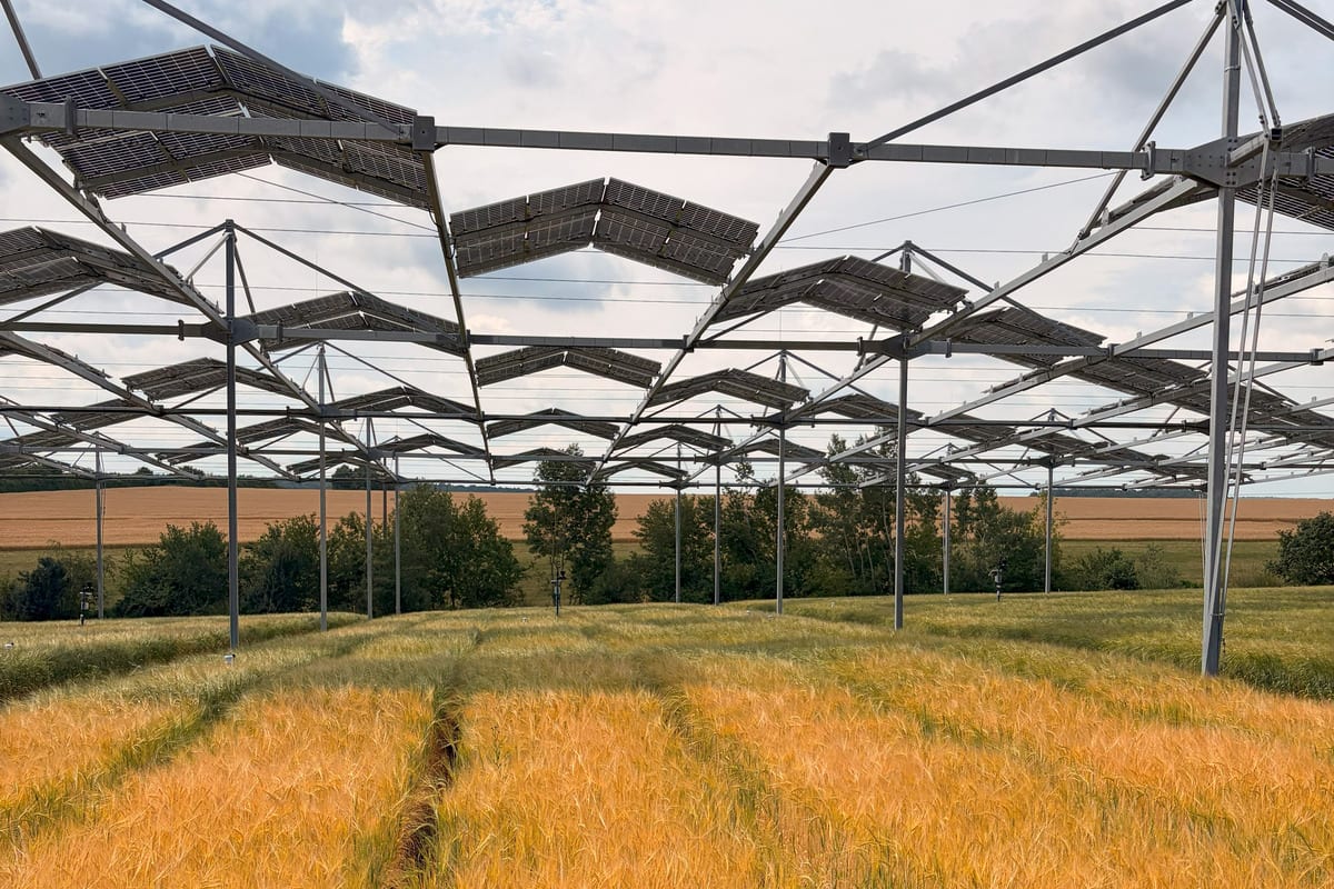 Solar panels mounted above green crop rows in German farmland agrivoltaic system