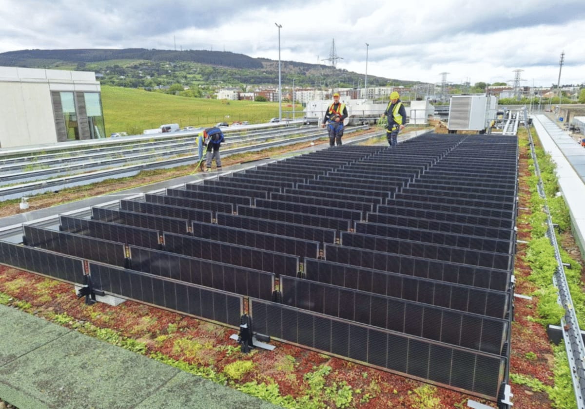 Dublin Green Roof Gets Solar Panels That Help Plants Grow - Image 3