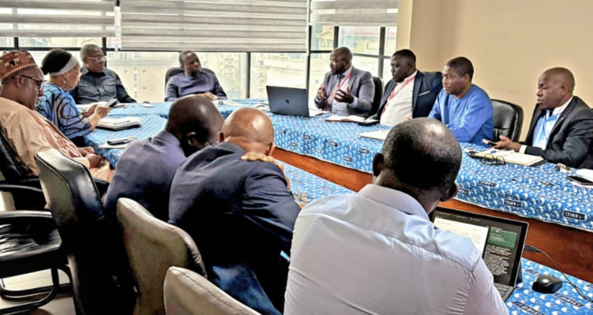 Cameroon Plans 244 MW Solar Boost With Two New Plants - Image 3