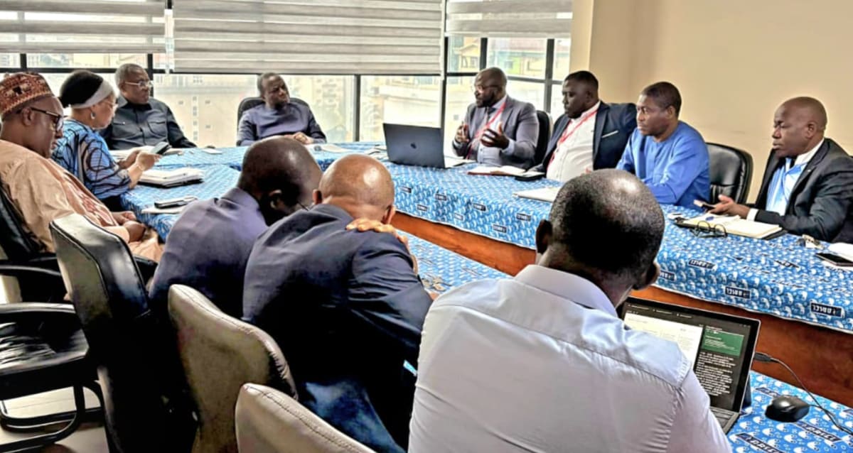Cameroon Plans 244 MW Solar Boost With Two New Plants
