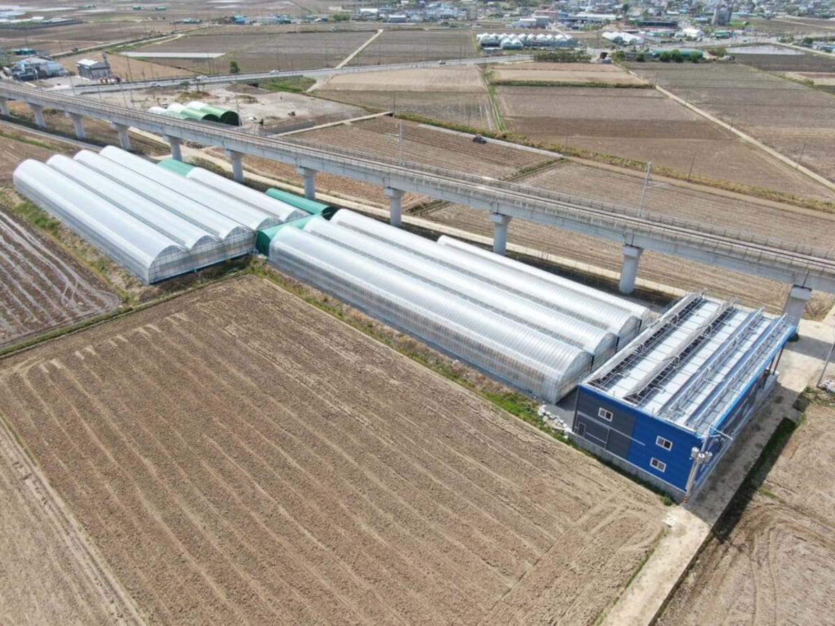 Solar Heat System Cuts Greenhouse Energy Costs by 55% - Image 3