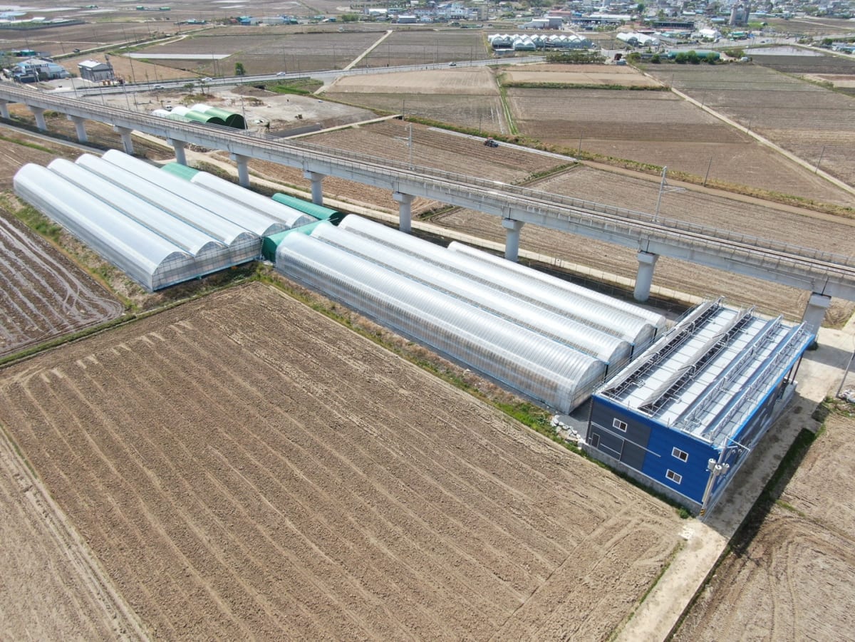 Solar Heat System Cuts Greenhouse Energy Costs by 55%