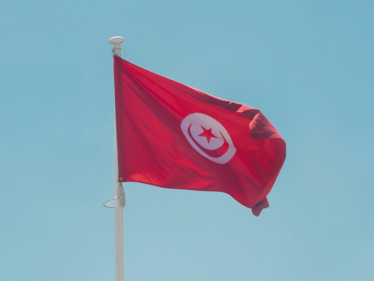 Tunisia Approves 455 MW Solar Power in Oversubscribed Bid - Image 3
