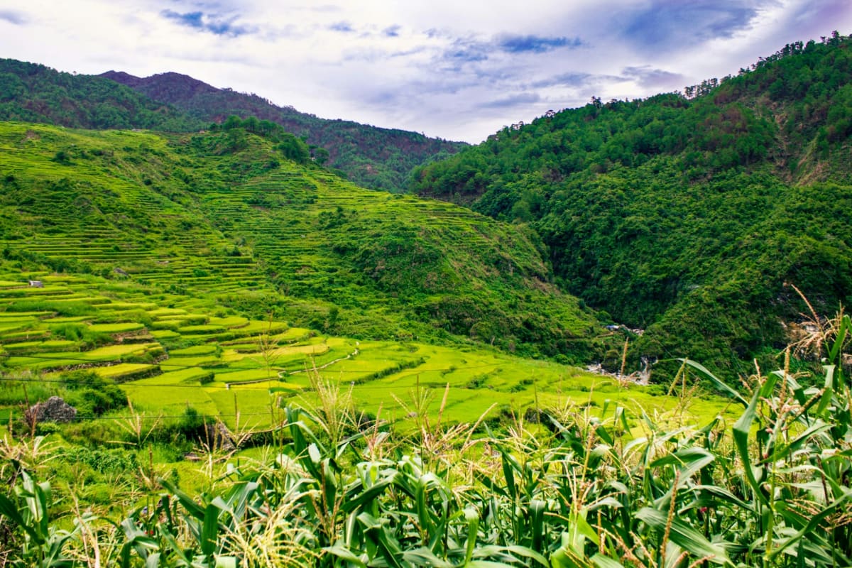 Philippines Uses Geofencing to Protect Farms and Add Solar