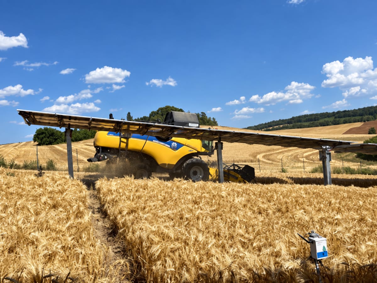 Solar Panels Over Crops Boost Yields 20% in French Trials