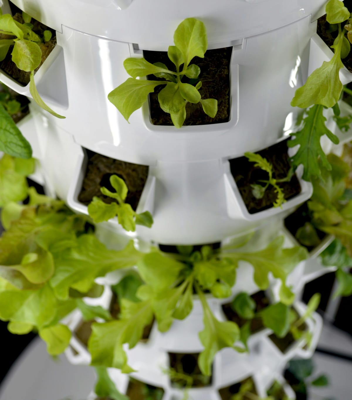 Five-foot tall white PVC vertical farming tower with green plants growing from staggered holes, solar panel mounted on top