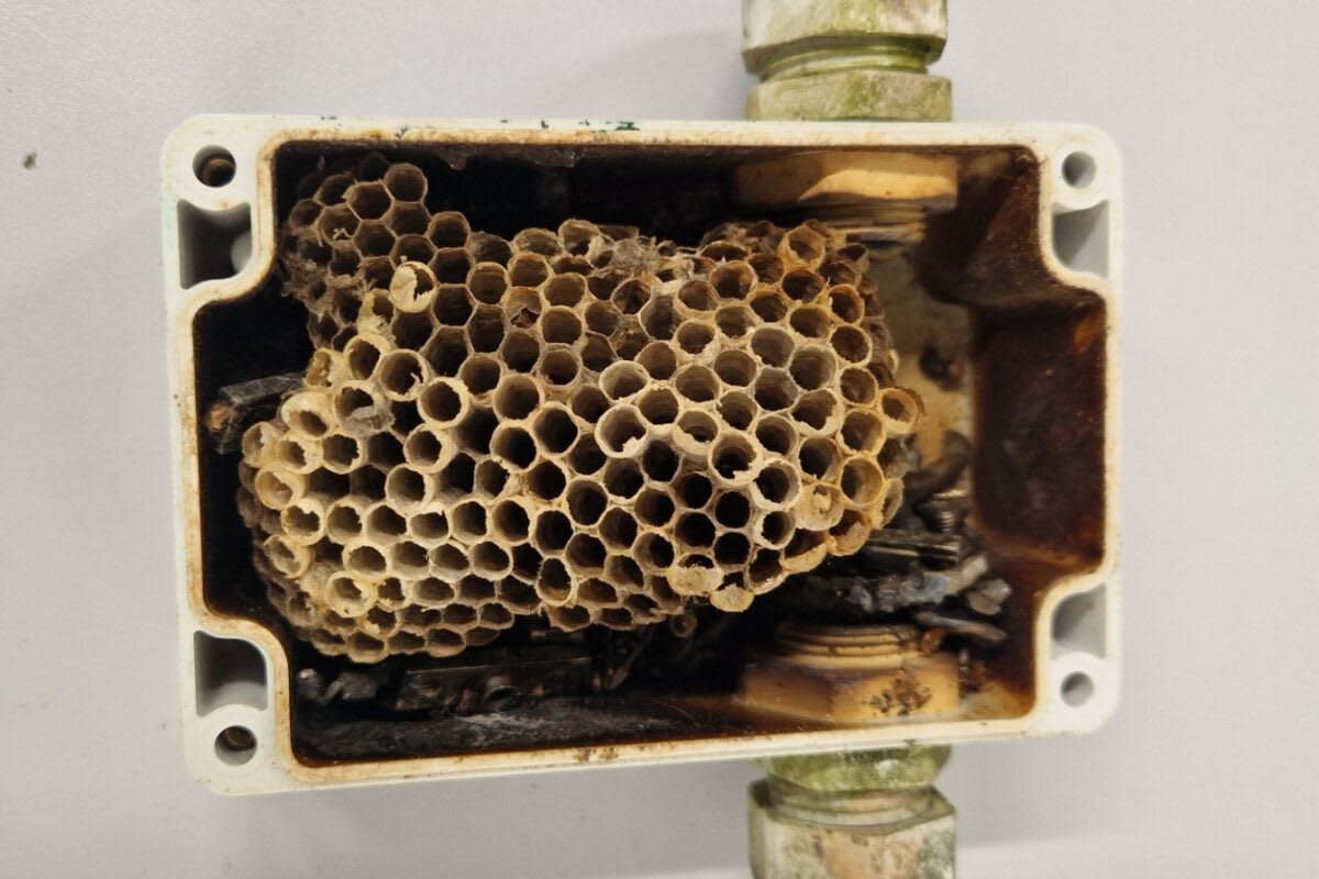 Mexico Adds Battery Storage to Solar Energy Rules - Image 3