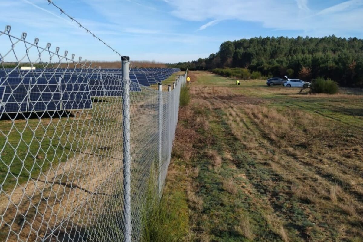 Solar Farm Survives Wildfire With Only 100 Panels Lost - Image 5