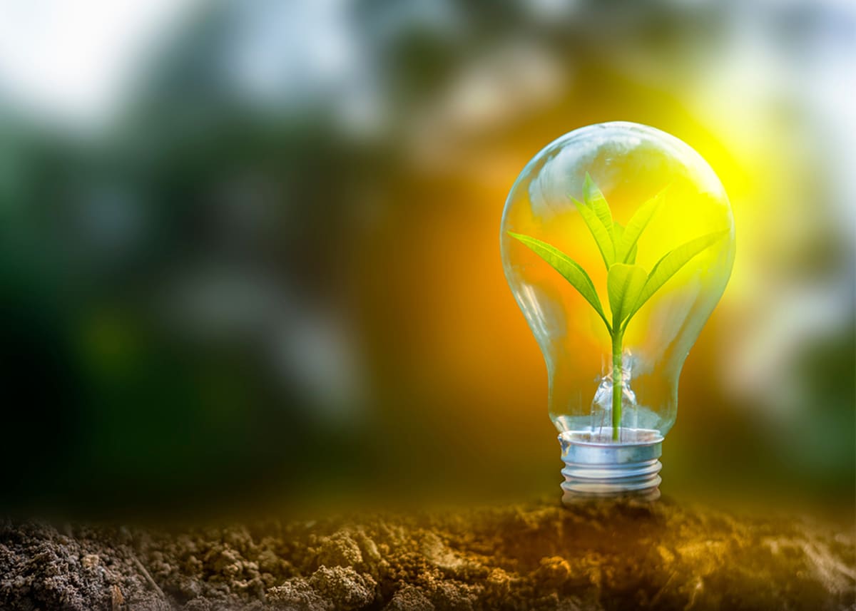 Texas Team Gets $600K to Perfect Clean Energy Materials