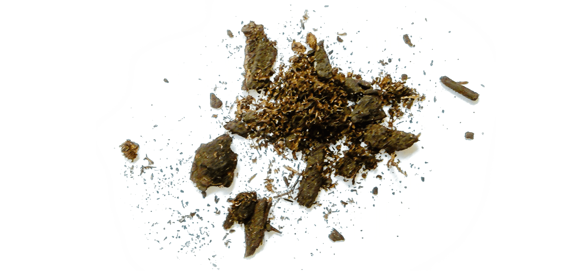 Sterile Soil Keeps "Breathing" for 6 Years in Lab - Image 4