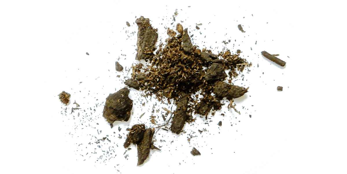 Sterile Soil Keeps "Breathing" for 6 Years in Lab - Image 3